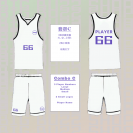 5-Color 12-Size Basketball Team Sets Custom Printing (BU_S053_004)