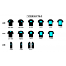 5-Color 7-Size Quick Dry Regular Fit T-Shirt Custom Printing (RTT_S049_001)