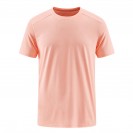 5-Color 7-Size Quick Dry Regular Fit T-Shirt Custom Printing (RTT_S049_001)